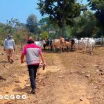 Actualizadores del INE trabajando en áreas dispersas del departamento de Santa Cruz.