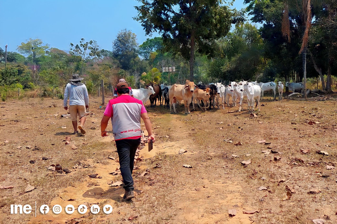 Actualizadores del INE trabajando en áreas dispersas del departamento de Santa Cruz.