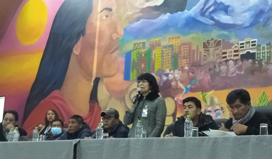 El INE socializó los avances del censo en la Asamblea de la Alteñidad